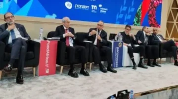 مليار دولار نمو في صادرات قطاع الأغذية يعزز مكانة مصر التصديرية 1